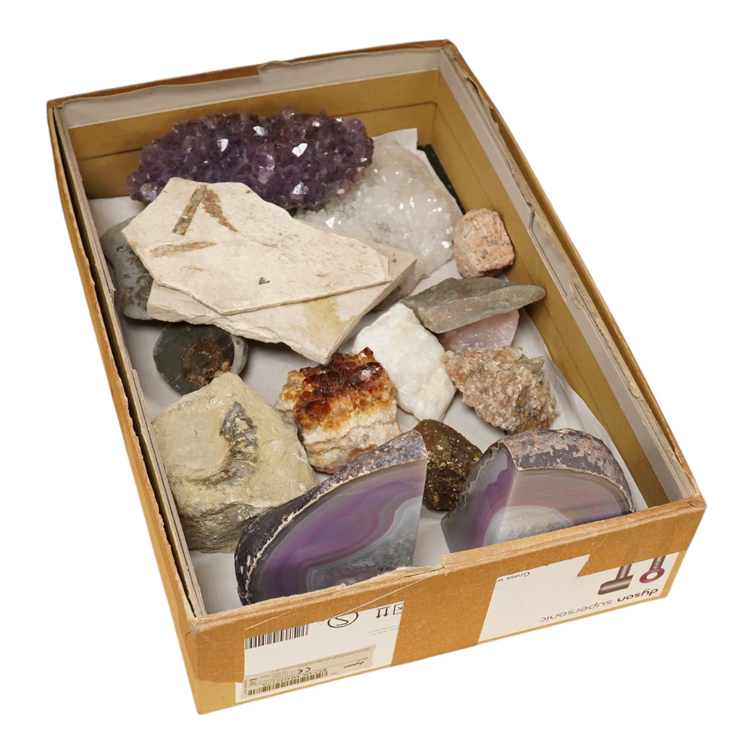 A collection of mineral specimens including quartz, together with fossilised leaves and ammonites on matrix